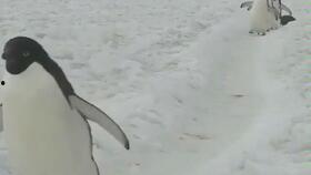 情侣小视频国产区,国产情侣小视频甜蜜瞬间大盘点