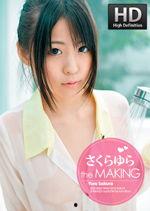 国产成人大香蕉,探索国产成人影视的崛起与魅力